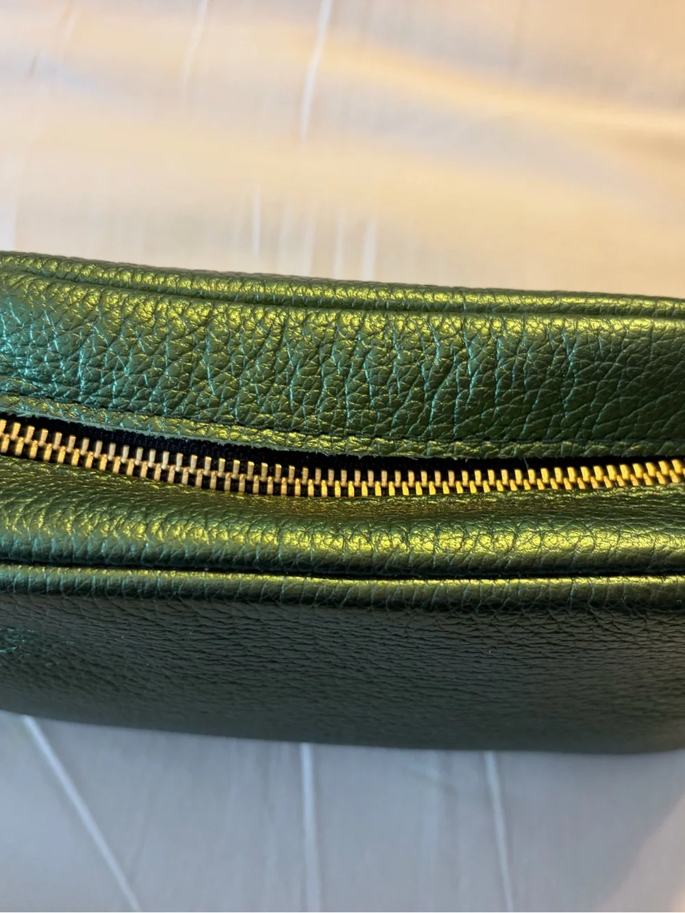 PLG Metallic Greench Leather Astra  Pouch